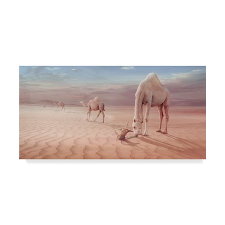 Sulaiman Almawash 'Camels Trip' Canvas Art,12x24